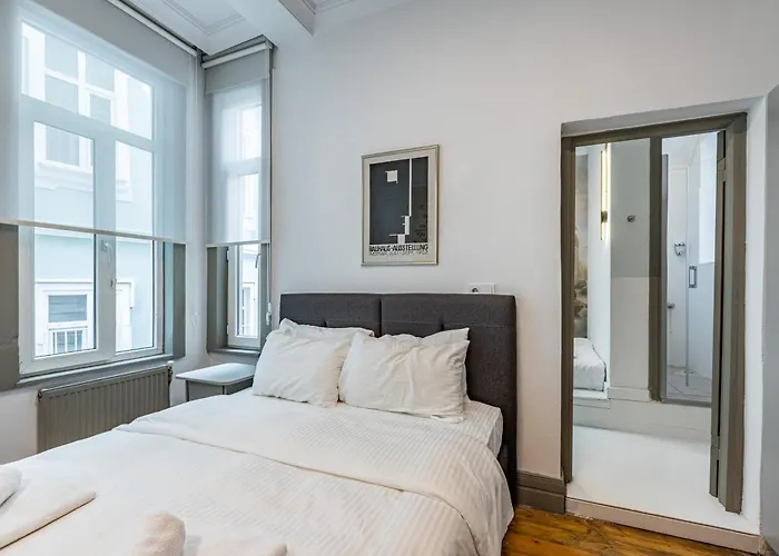 Ganbaru Tours - Flats In Galata 2 * İstanbul